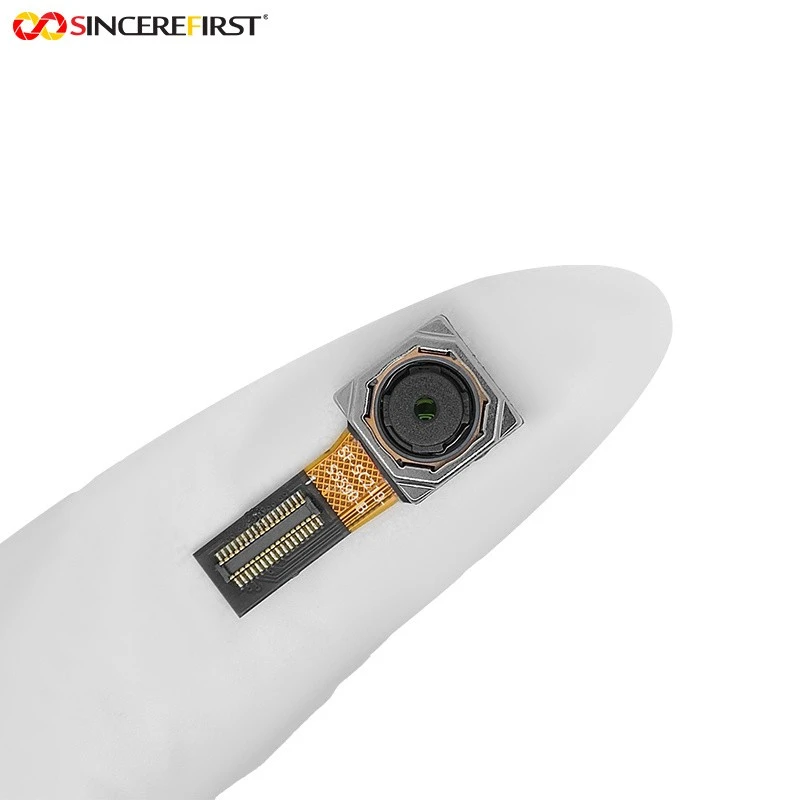 SF-SC219-S5590-B (4)